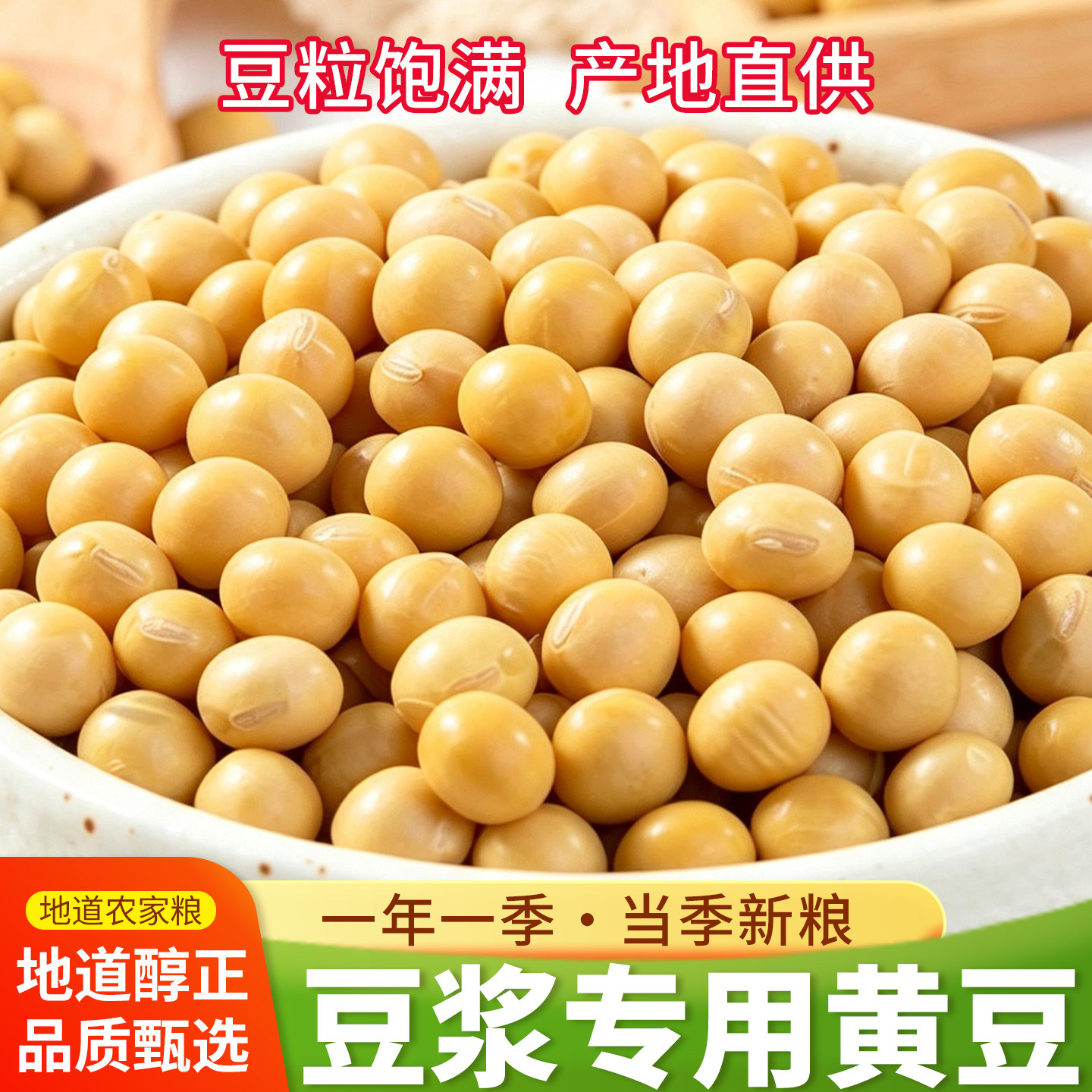 优质黄豆打豆浆专用新豆非转基因