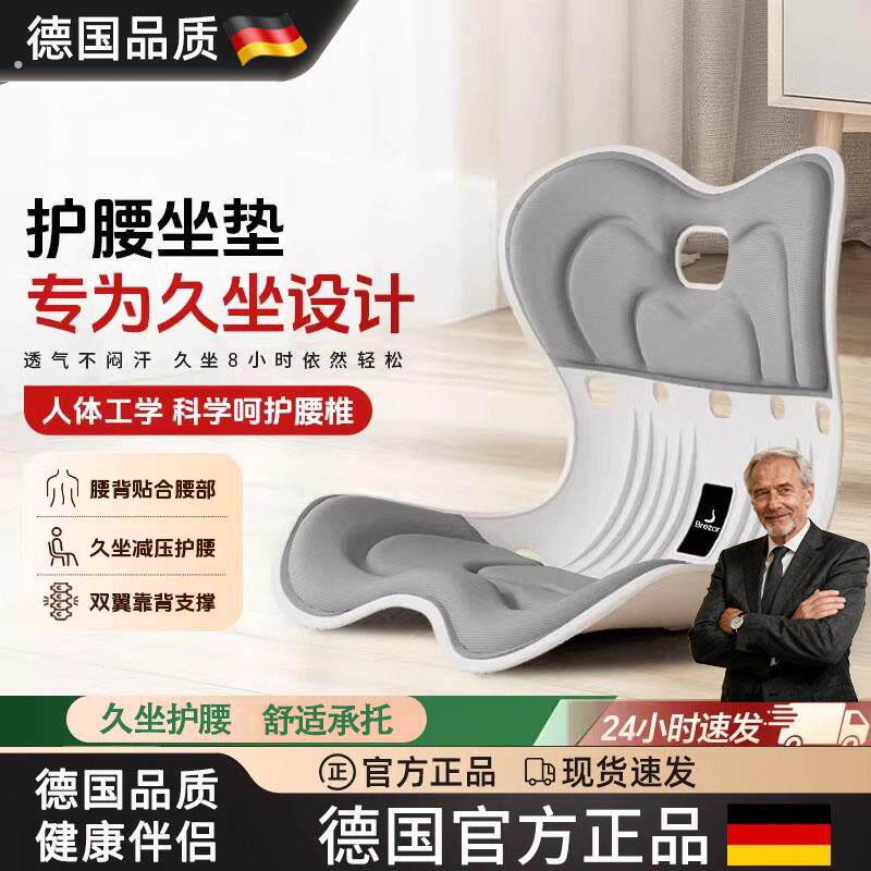 德国护腰坐垫靠垫透气久坐神器人体工学办公室座姿椅腰背一体支撑