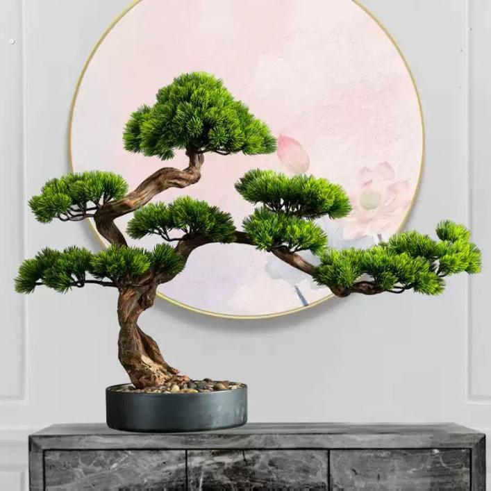 迎客松真树盆景盆景室内客厅盆栽造型耐寒办公室桌面四季常青植物