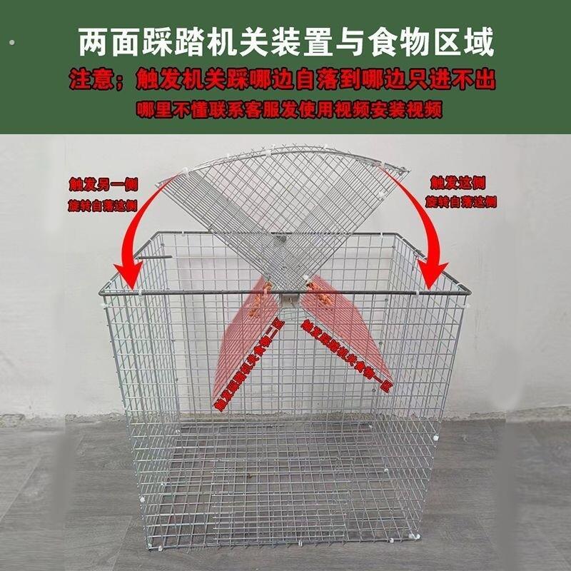 鸟笼专用养殖厂家用神器自动天落笼旋转笼,翻板笼加粗鸽笼鸽子