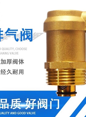 全铜自动排气阀自来水管道过滤放气阀4分6分1寸阀门DN152025