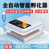 孵化器全自动小型家用孵蛋器鸡迷你孵化箱孵蛋机鸡鸭鹅鸽子孵化机