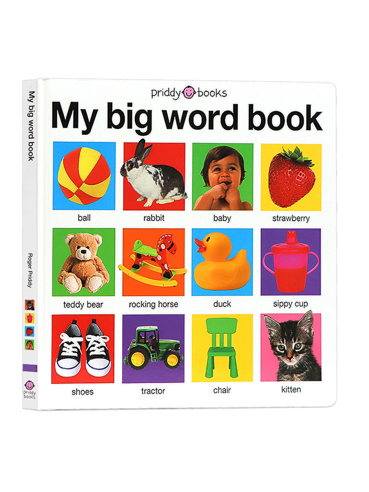 我的大单词书 英文原版绘本 my big word book 低幼早教词汇认知启蒙