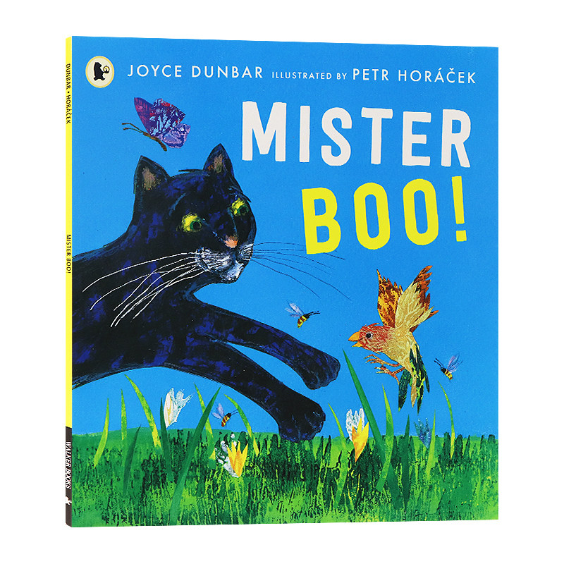 布先生!英文原版绘本 mister boo!
