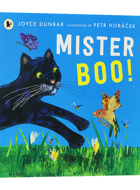 布先生！英文原版绘本 Mister Boo! 捷克绘本大师Petr Horacek 儿童读物绘本 性格习惯养成睡前童话故事 家庭亲子教育