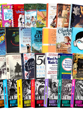 精选英文原版小说 杀死一只知更鸟英语版 wonder 奇迹男孩神奇校车 Magic Tree House 纽伯瑞儿童文学奖青少年英语课外阅读桥梁书