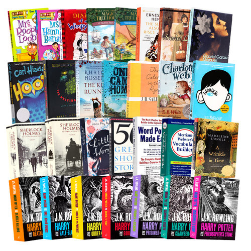 100选5件精选英文原版正版小说