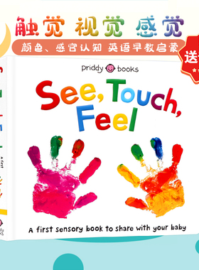 See touch feel 英文原版绘本 Seetouchfeel 触觉视觉感官认知 A First Sensory Book 低幼儿童早教启蒙 亲子互动游戏书含镜子