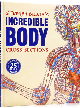 DK 不可思议的大剖面之人体的秘密 英文原版 Stephen Biesty's Incredible Body Cross sections 儿童身体科普百科读物25周年版