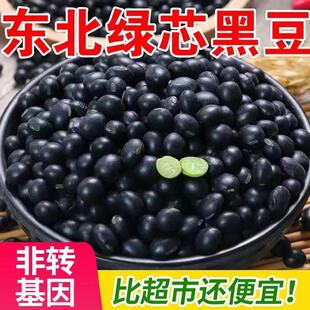 【当季新豆】绿心黑豆 绿芯小黑豆 豆浆 煮粥 煲汤优质粗杂粮