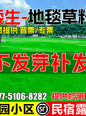 高尔夫地毯草种籽四季常青免修剪耐践踏民宿露营公园小区草坪草籽
