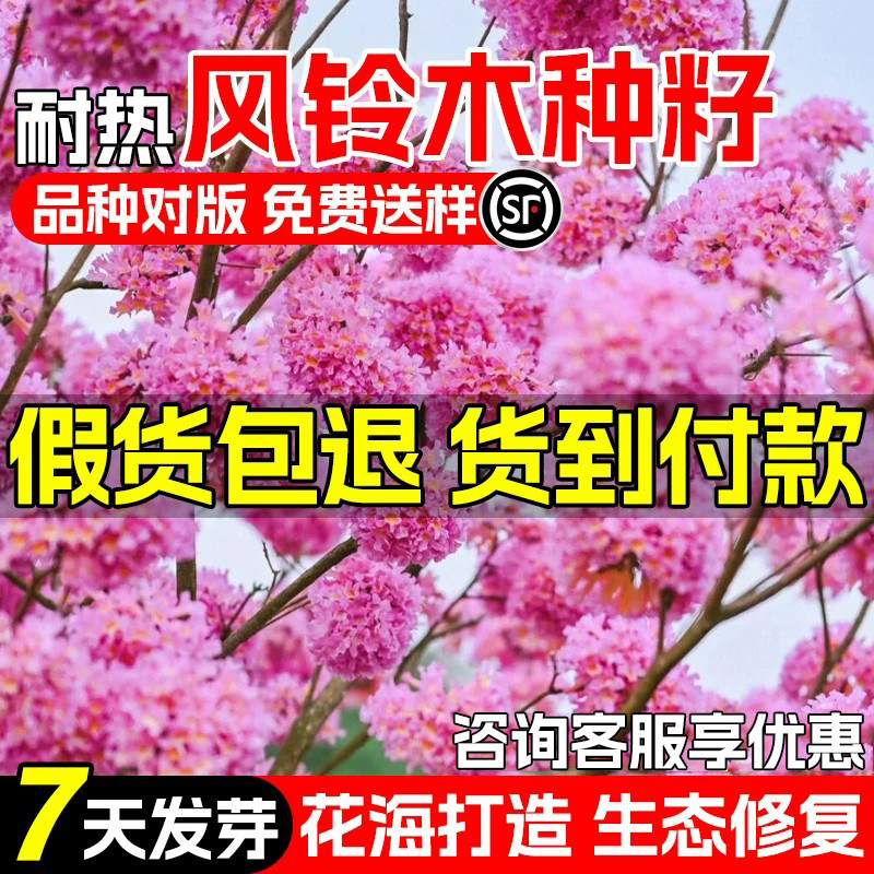 红花黄花风铃木公园景区道路美化