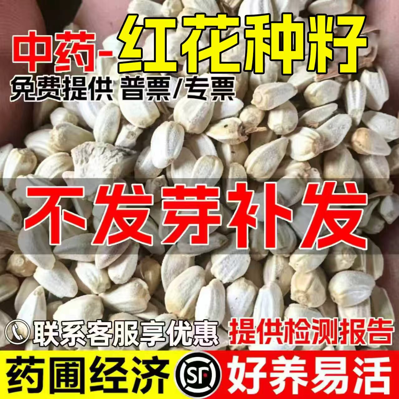 红花种子药铺种植经济药材种子