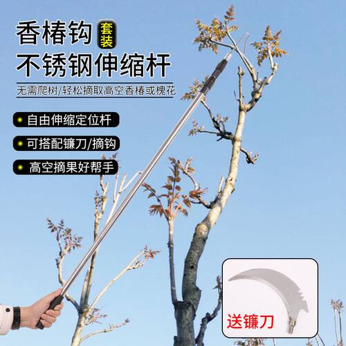 香椿钩槐花勾伸缩长杆槐花自由摘