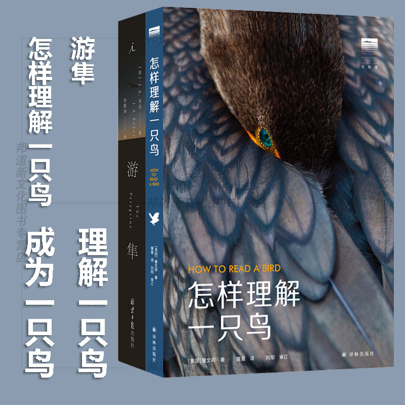 正版 游隼+怎样理解一只鸟 2册关于如何成为一只鹰的书，理解一只鸟的故事