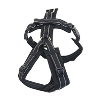 【Задняя часть груди】 черный x черный