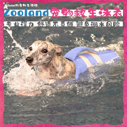 ZOOLAND高强浮力宠物救生衣
