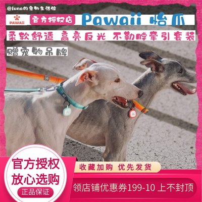 Pawaii怡爪宠物项圈超轻不勒脖