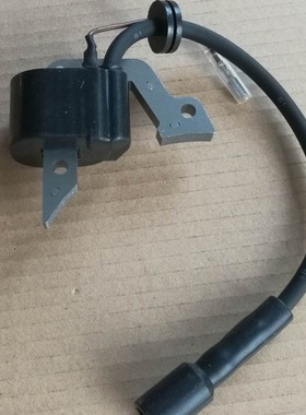 Ignition Coil EH09 点火线圈 高压包 点火器