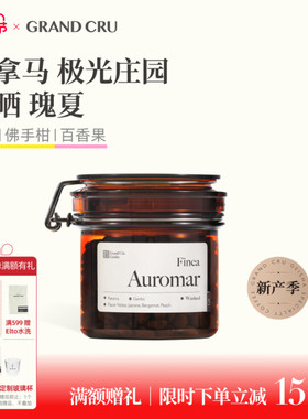 GrandCru 25新产季巴拿马瑰夏极光庄园日晒水洗单品手冲咖啡豆80g