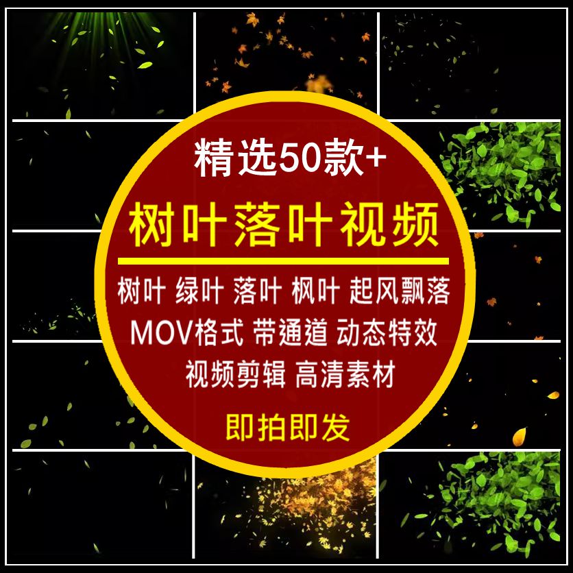 树叶绿叶子落叶枫叶秋天起风飘落动态特效透明通道pr_ae视频剪辑