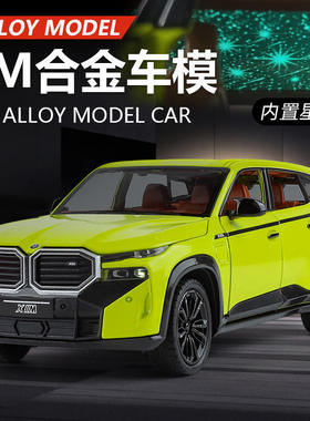 新款 新豪迪1:24 XM合金汽车模型 开门声光儿童仿真玩具车