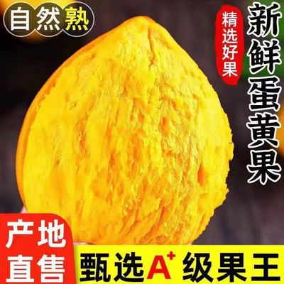 粉糯香甜鸡蛋果新鲜现摘水果