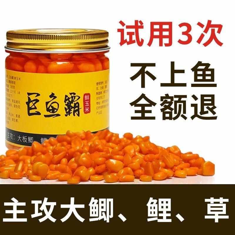 钓鱼玉米颗粒鱼饵料鲫鲤鱼草鱼钓饵浮钓珠180克/500克底窝打窝料