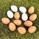 实心木制仿真鸡蛋引窝假蛋模型过家家益智儿童手绘涂鸦彩蛋整蛊蛋