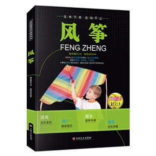 风筝书籍正版 风筝放飞技巧详解教程DIY手工风筝制作教程民间工艺饰品风筝制作扎制糊制技法教材体育运动书籍 全民健身项目指导用书