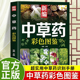 新编中草药彩色图鉴正版 超实用中草药识别手册中草药图鉴图谱中国药材图鉴中药材大全148种常用中草药识别应用原色图片中医学书籍