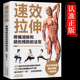 图解书籍 正版 家庭健身保健运动适合全家人 法宝 生活拉伸减少肌肉疼痛改善关节灵活性提高柔韧性 速效拉伸疼痛消除和损伤预防