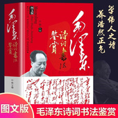 著作毛主席诗词集语录书法手迹欣赏书籍毛泽东诗歌成人学生版 领袖 毛泽东诗词全集赏读注释注解毛泽东诗歌 毛泽东诗词书法鉴赏正版
