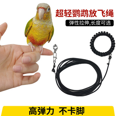鸟用鹦鹉放飞绳牵引绳外出遛鸟弹力绳牵引带虎皮玄风牡丹用品飞行