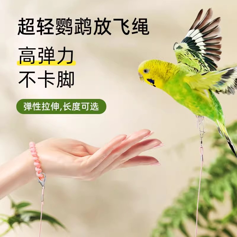 鹦鹉放飞绳不伤脚超轻训练绳虎皮玄凤牡丹脚环脚链脖套遛鸟飞行绳