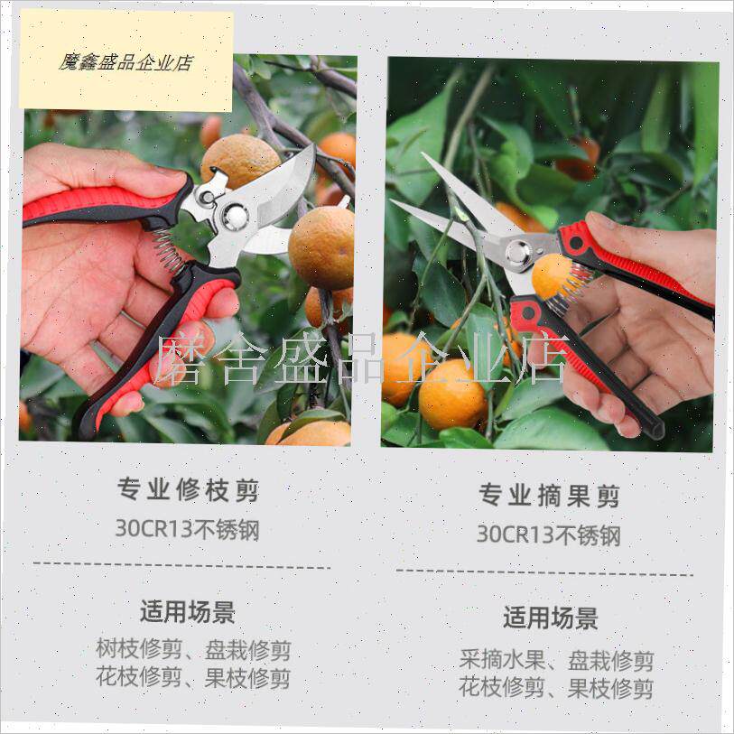 园艺剪刀修剪树枝花剪盆栽插花A荔枝葡萄花椒水果专用不锈钢粗枝.