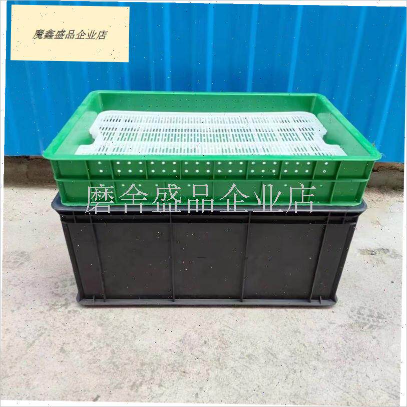 盆景养护沙盘塑料花生芽种植育苗盘种催芽撒播圆U孔穴Z盘黑色水.