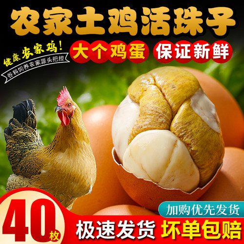 土鸡活珠子鸡蛋新鲜鸡胚蛋无毛蛋下酒菜熟食开 袋即食五香麻辣包
