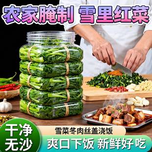 正宗农家雪里红新鲜腌菜雪菜配菜腌制红菜袋装酱腌菜下饭菜雪里蕻