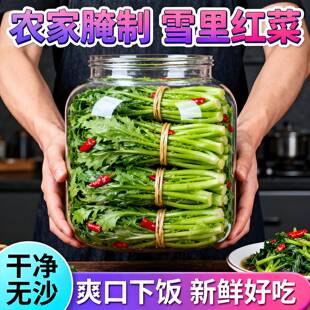 正宗农家雪里红新鲜腌菜雪菜配菜腌制红菜袋装酱腌菜下饭菜雪里蕻