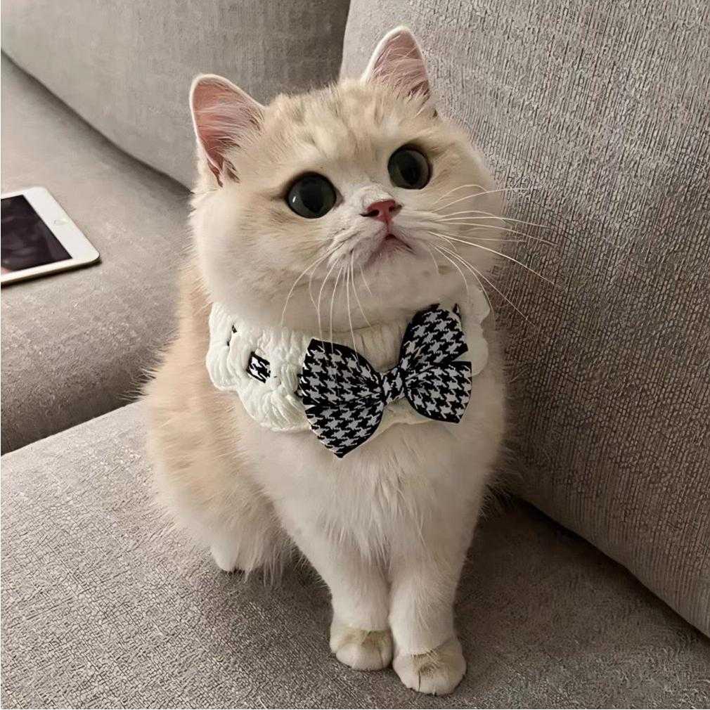 猫咪狗狗蝴蝶结针织围脖口水巾|