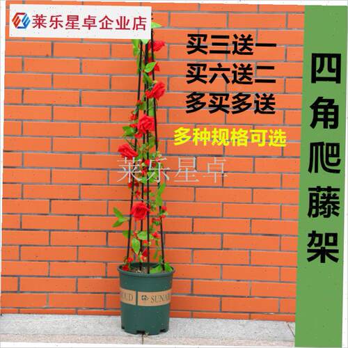 四角花架铁线莲i茉莉花造w型塔型支架户外阳台园艺月季支撑爬藤.