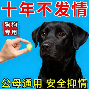 狗狗永久绝育药公母通用终身不乱尿禁情抑制用药 不生崽