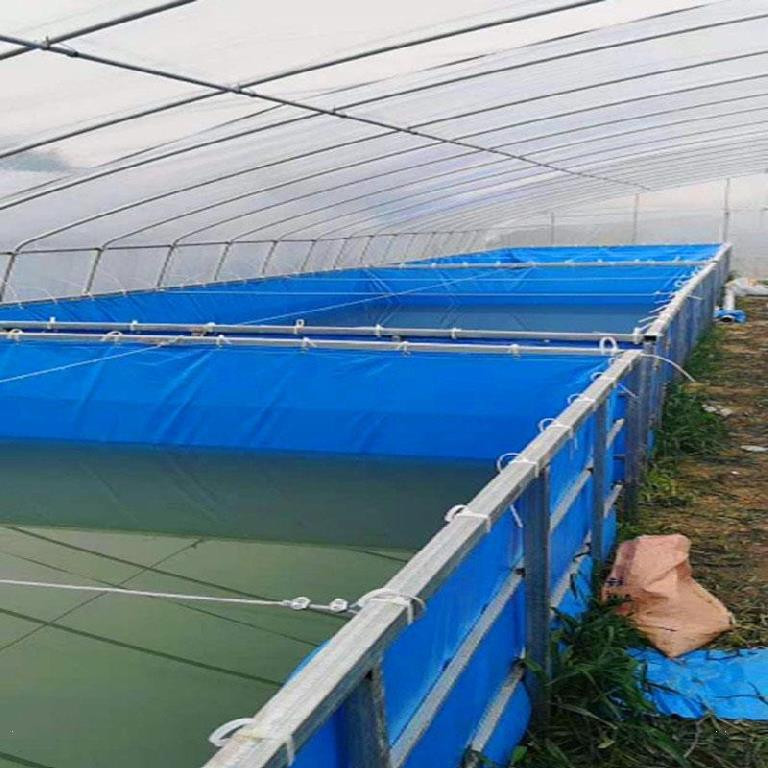 高档帆布养鱼箱养殖水池大棚储水池加厚型高l密度水产