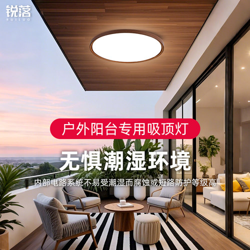户外阳台专用吸顶灯新款简约现代超薄玄关入户门走廊卫生间厨房灯
