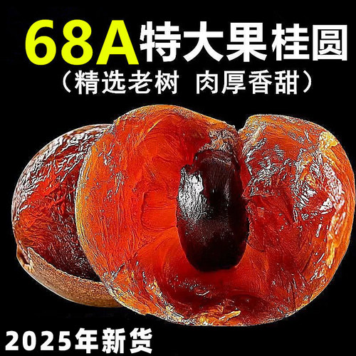 闽乡小锄68A桂圆干特级大果