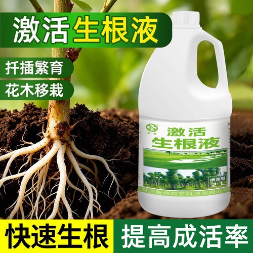 快速生根液绿植物通用壮苗生根剂
