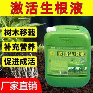 快速生根液树木移植营养液植物通用生根素果树花卉植物生根壮苗剂