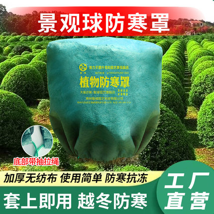 景观球植物防寒罩红花继木石楠金叶小叶女贞冬青海桐防寒保温布罩