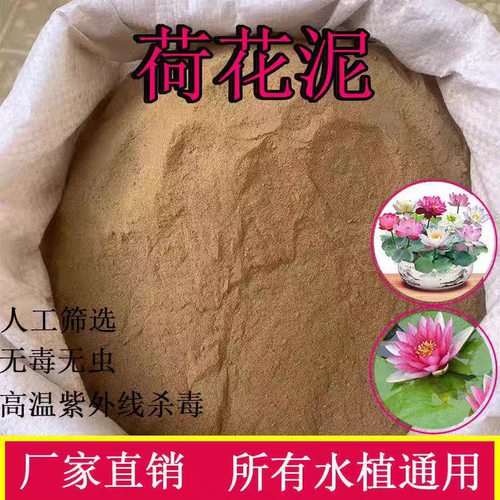 天然荷塘泥碗莲专用土